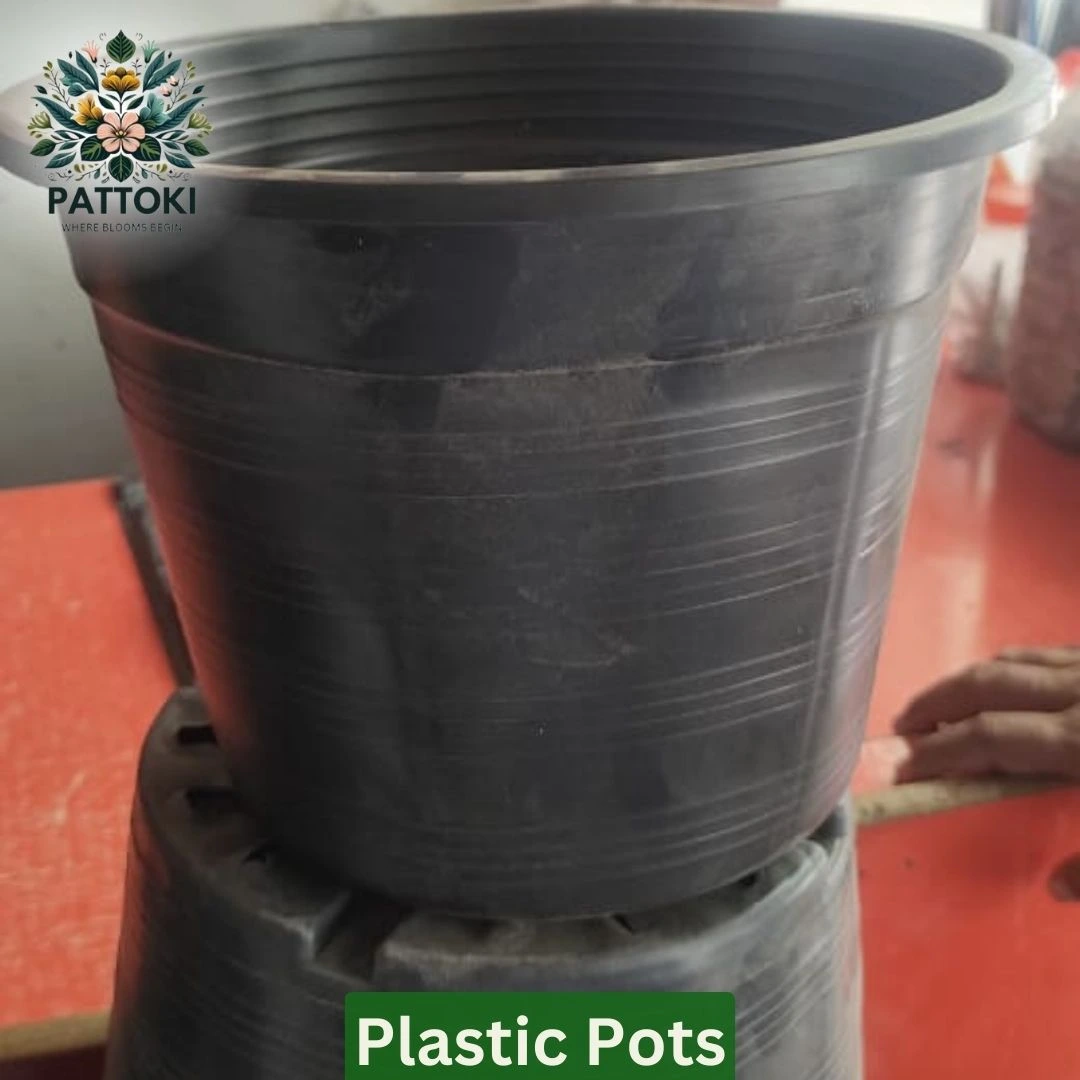 Pots